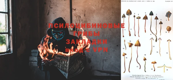 ГАЛЛЮЦИНОГЕННЫЕ ГРИБЫ Козельск