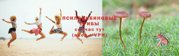 ГАЛЛЮЦИНОГЕННЫЕ ГРИБЫ Козельск