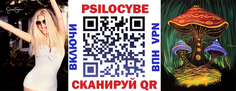 Псилоцибиновые грибы Psilocybe  Купить закладки  Белёв 